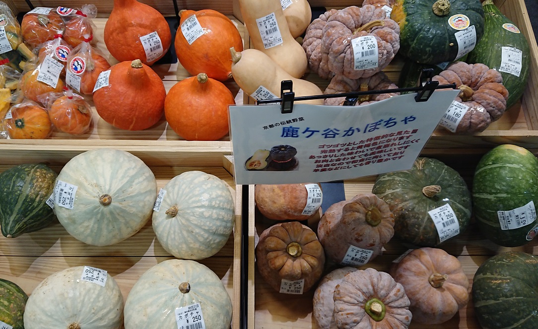 かぼちゃは種から育てましょう 画像で見る南瓜の育て方 さびまりの野菜栽培ブログ