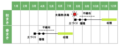 大根を太く 長く 真っ直ぐにする育て方 秋大根の栽培方法 さびまりの野菜栽培ブログ