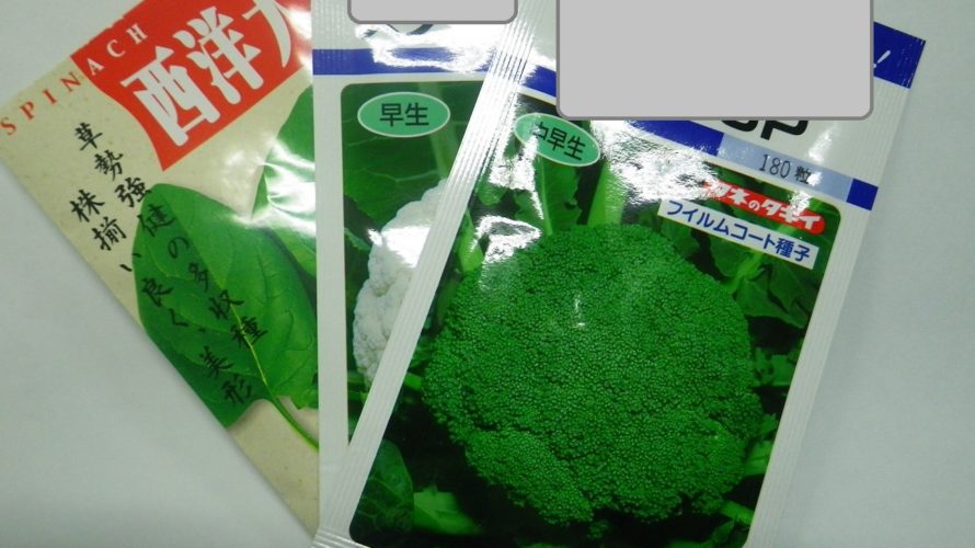 野菜の種子(タネ)の選び方【種の袋を見るポイント】