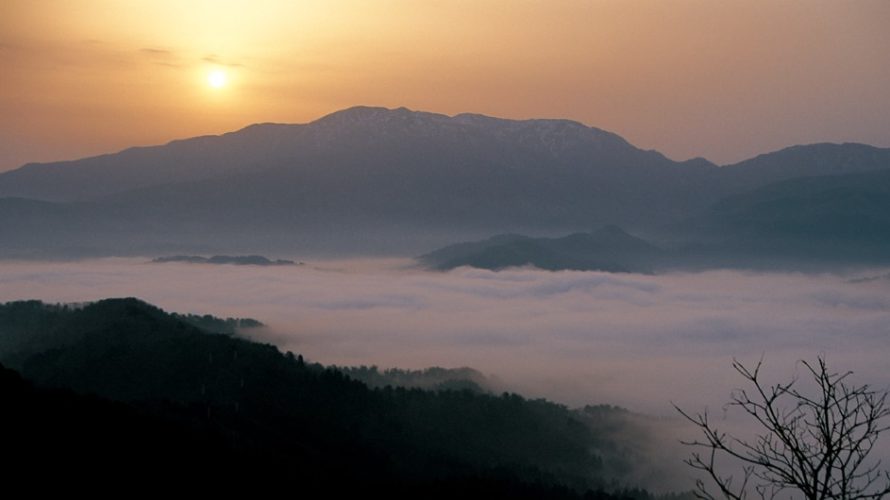 新年、明けましておめでとうございます。【穏やかな冬の風景⁉】