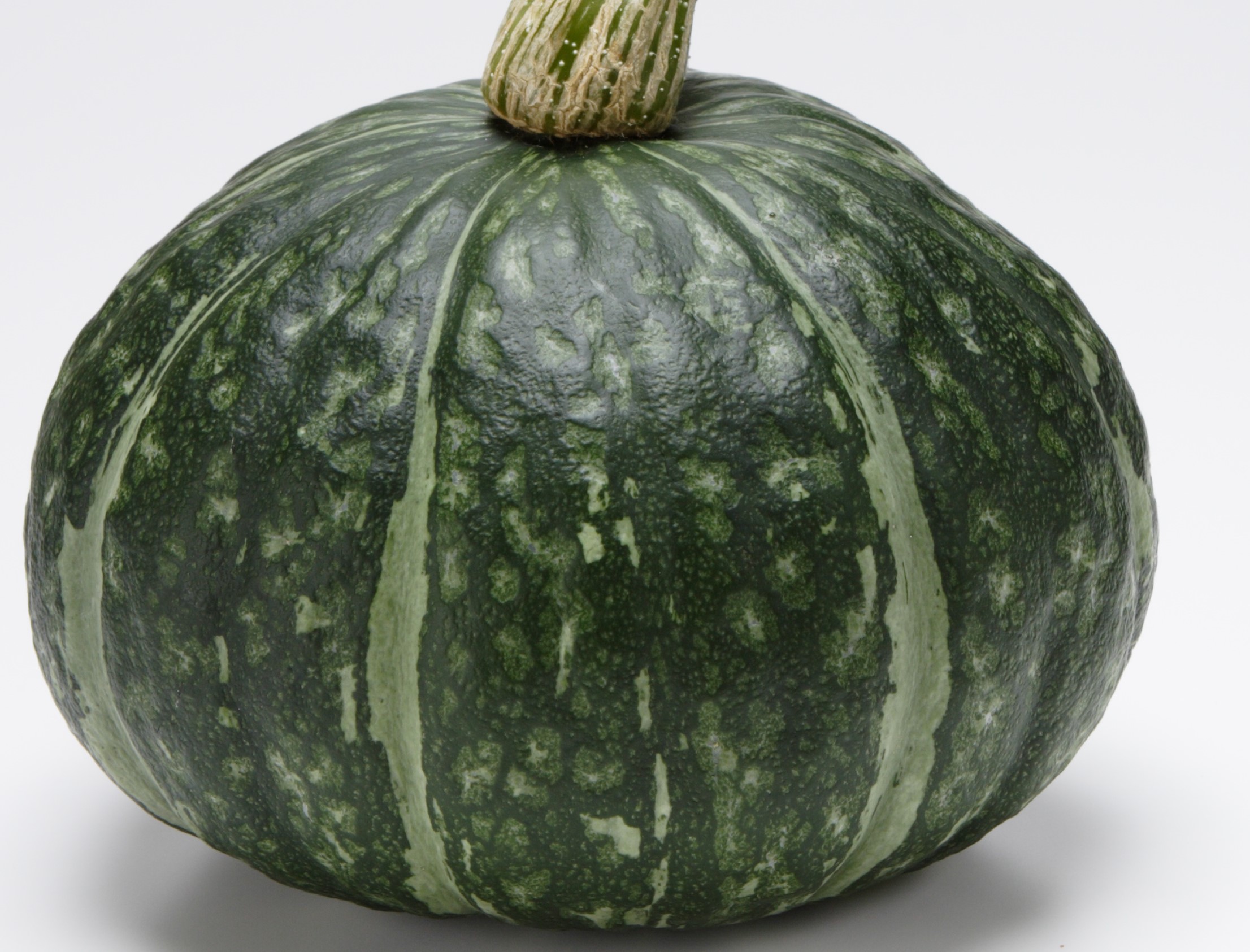 かぼちゃの育て方 かぼちゃの伸びてきたツルは芯を止めるの さびまりの野菜栽培ブログ