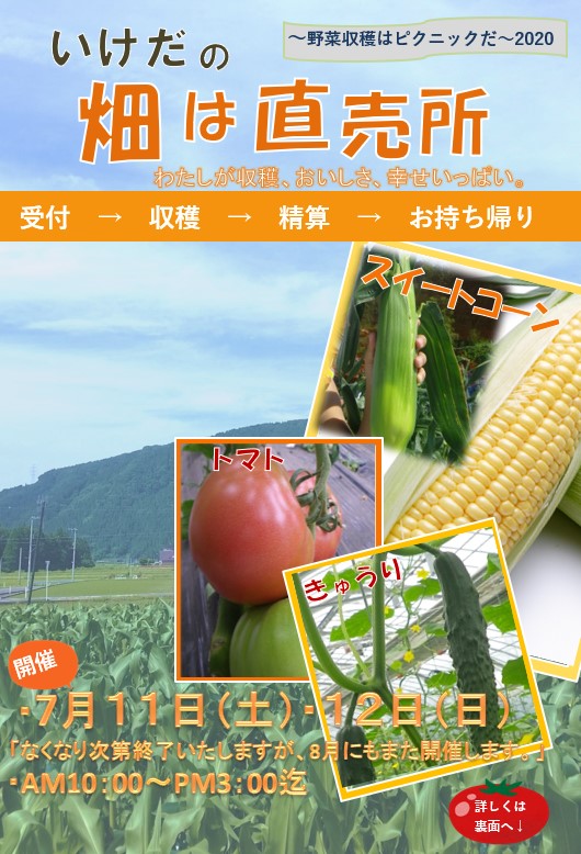 収穫祭やイベントに最適 スイートコーン トマト キュウリの品種はコレがおススメ さびまりの野菜栽培ブログ