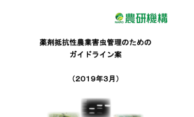 連作障害について 野菜を栽培することは 不自然で土がやせ病害がでる その対処法 さびまりの野菜栽培ブログ