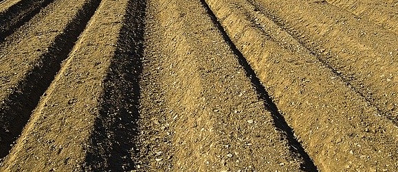 連作障害について【土がやせる原因とその対処方法】